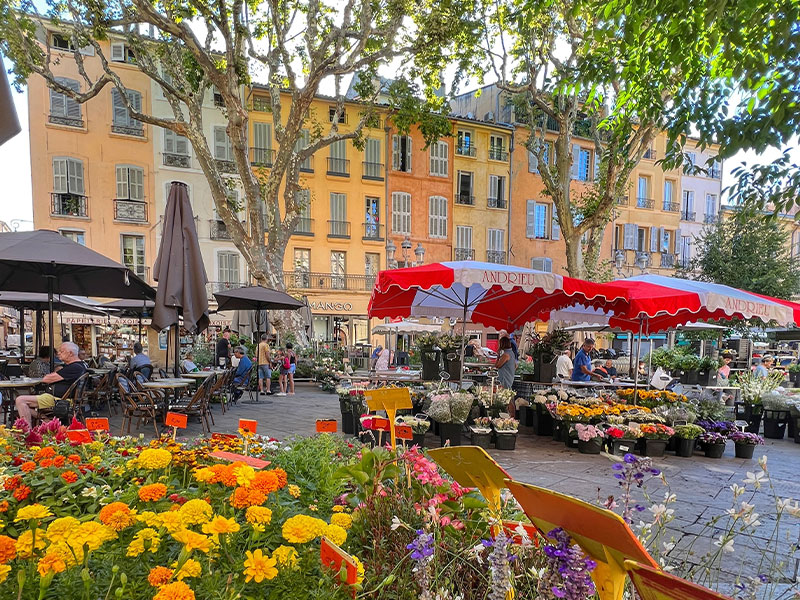 Flower market Aix-en-Provence