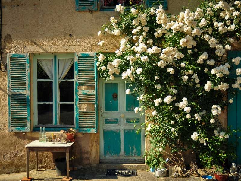 Pretty house in France with roses growing round the door and table laid for lunch in the garden