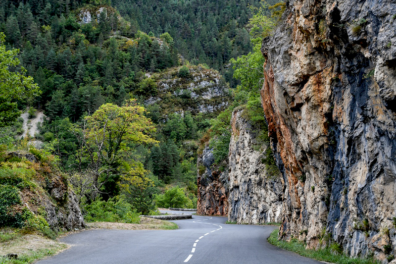 Empty road through a gorge lined with cliffs and trees
